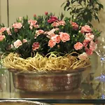 Hotel Duc De Rohan 3*