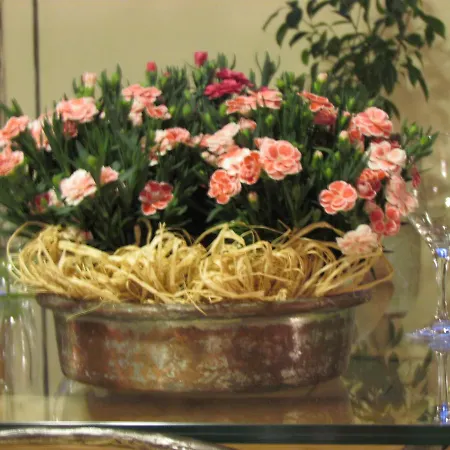 Hotell Duc De Rohan 3*