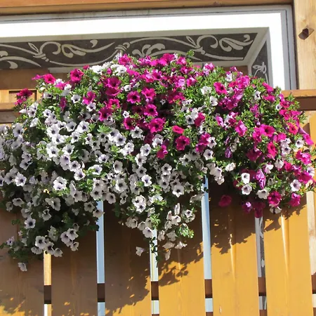 Hotel Duc De Rohan Livigno